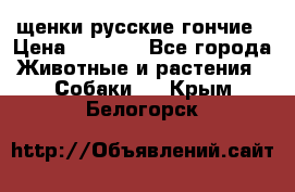 щенки русские гончие › Цена ­ 4 000 - Все города Животные и растения » Собаки   . Крым,Белогорск